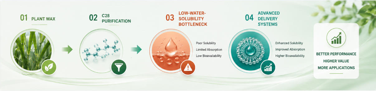 Plant wax → C28 purification → low-water-solubility bottleneck → advanced delivery systems